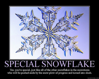 Image result for Special Snowflake Edition